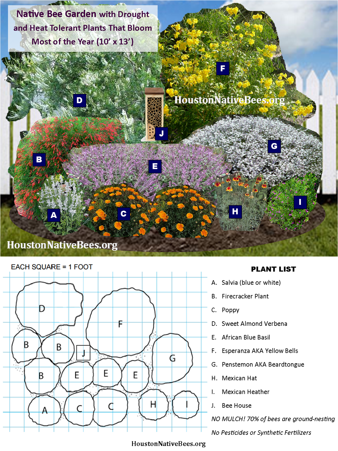 Native Bee Garden Design pic