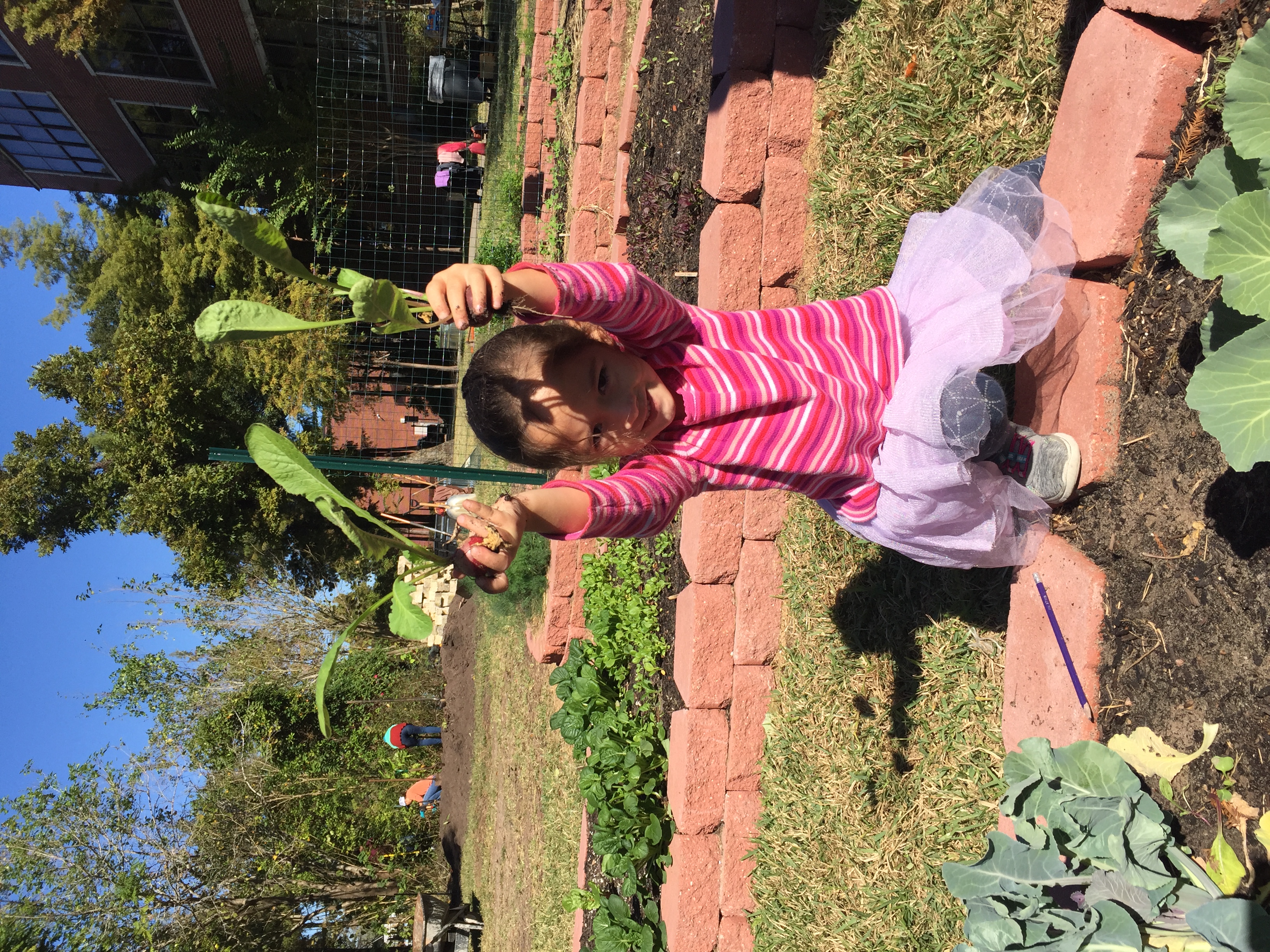 School Garden