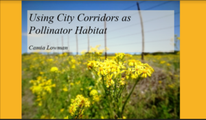 Using City Corridors as Pollinator Habitat 2016