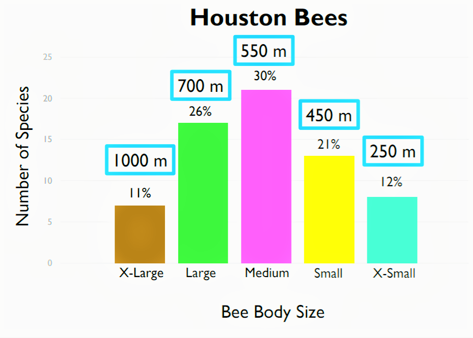 Graph of bee body size and flight forage distance