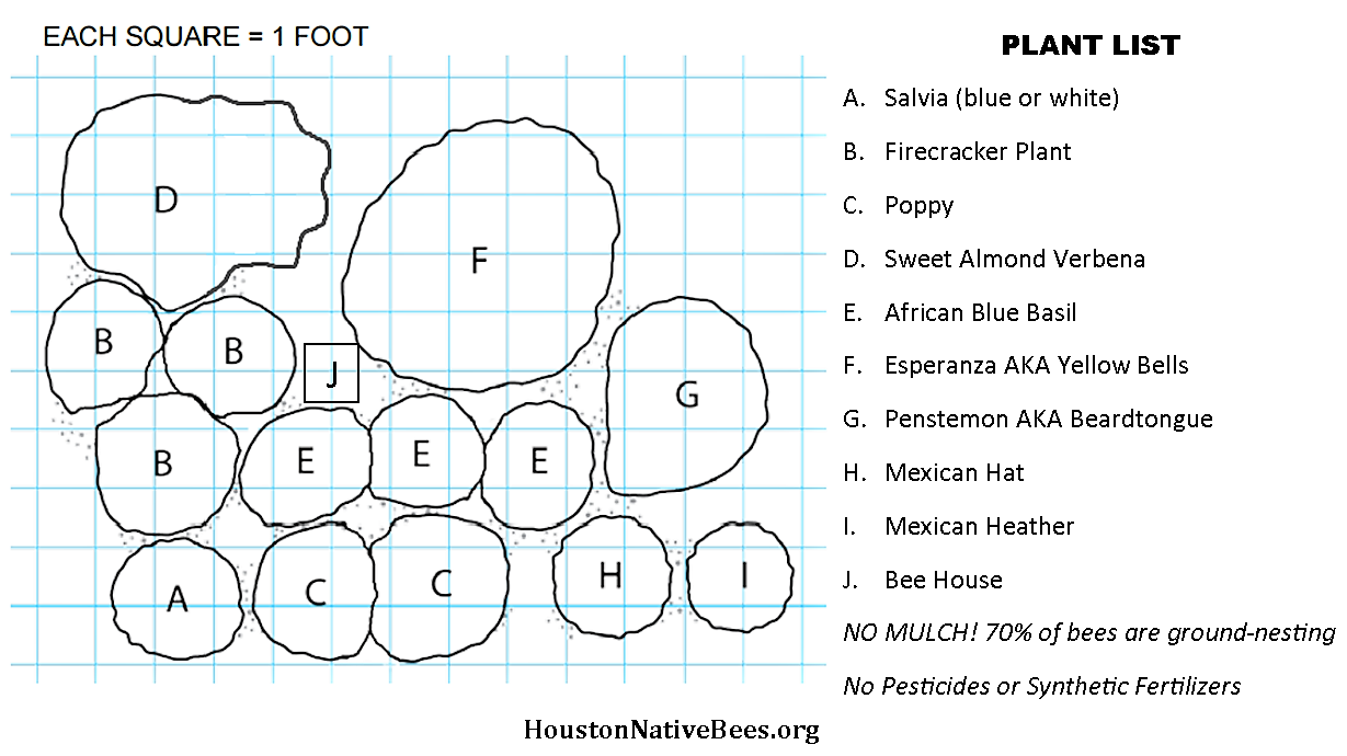 Garden design and plant list