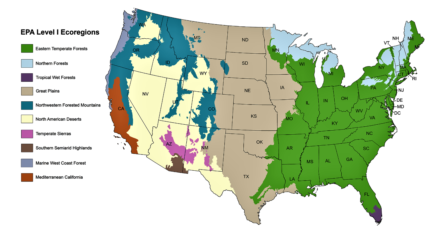 Pollinator Garden Design for Large Spaces