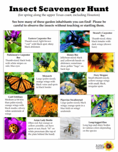 Pollinator Game cards